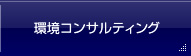 環境コンサルティング