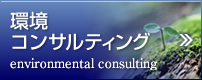 環境 コンサルティング environmental consulting